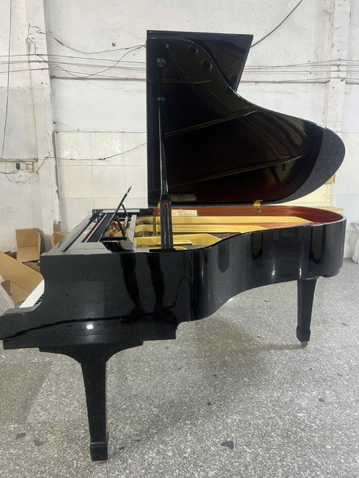 Grand Yamaha C3 sr 3.6
